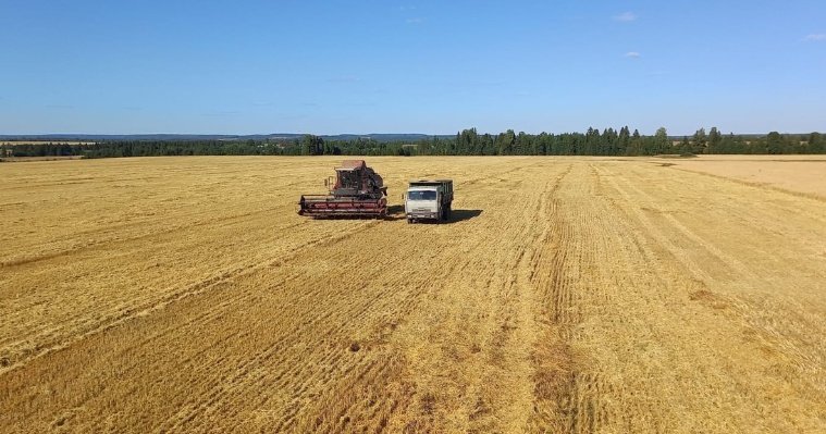 Сельхозпредприятия Удмуртии побили рекорд десятилетия по сбору зерна и урожайности
