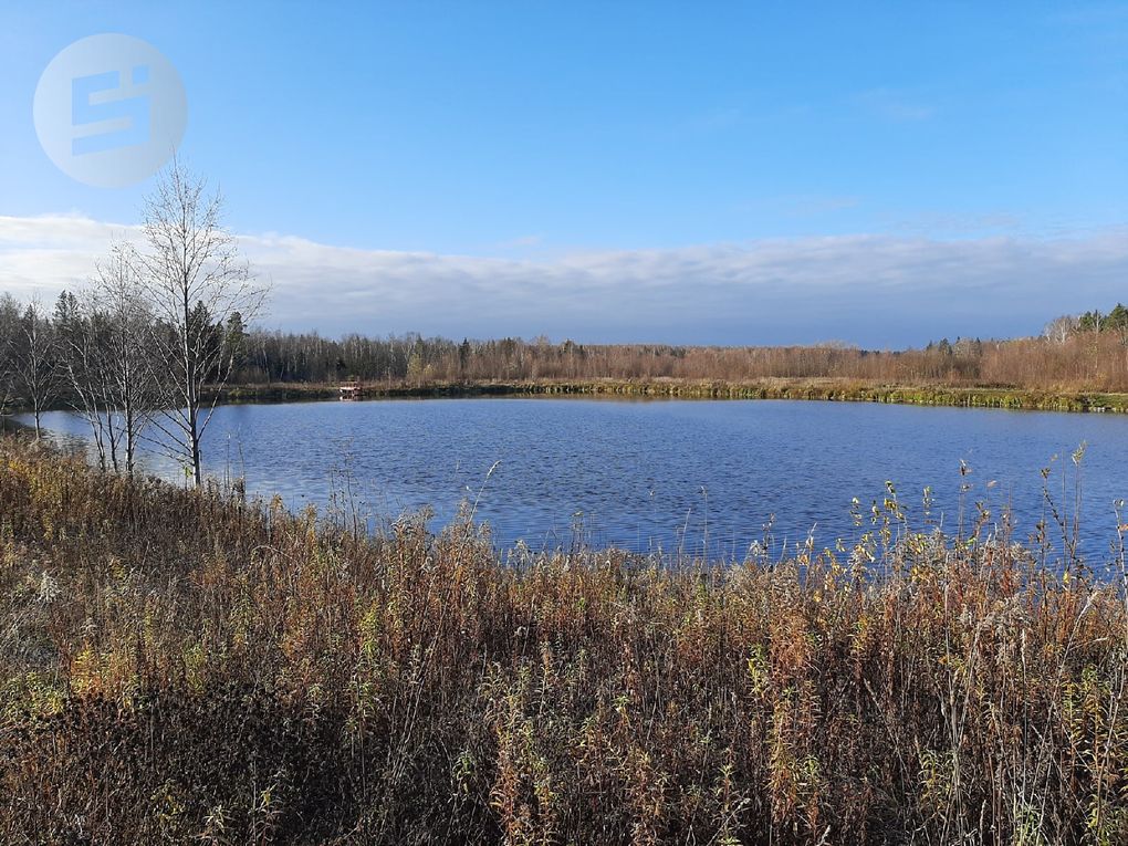 Разводить рыбу в прудах на водотоках стало легче в Удмуртии