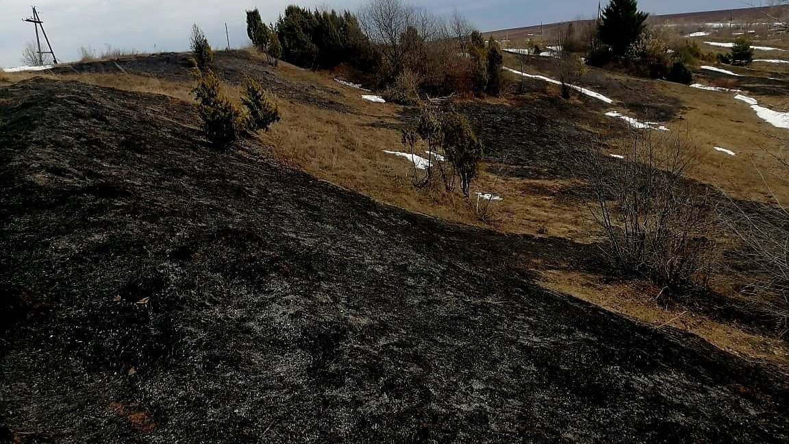 Первый в 2023 году случай горения сухой травы произошел в Удмуртии