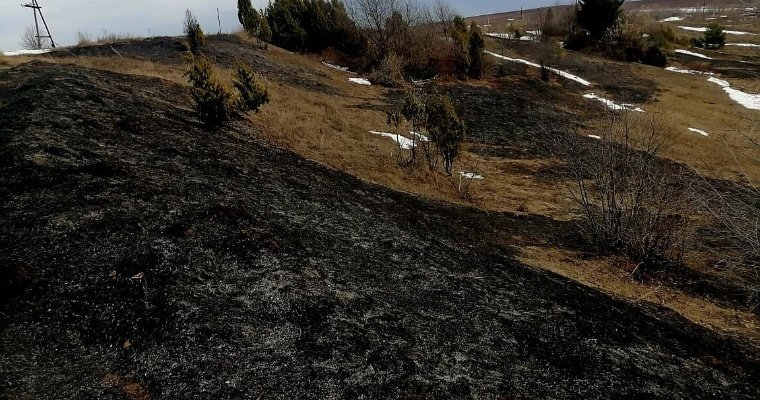 Первый в 2023 году случай горения сухой травы произошел в Удмуртии 