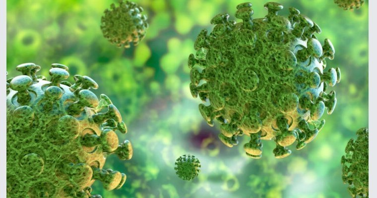 Зарубежные ученые исключили возможность лабораторного происхождения коронавируса