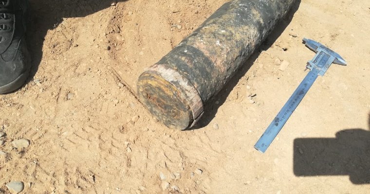 В Сарапульском районе Росгвардия уничтожила 125-мм снаряд