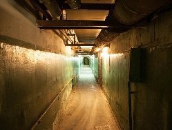 Итоги дня: организация безопасности Ижевчан в момент атак БПЛА и очистка реки Старковки от нефтепродуктов