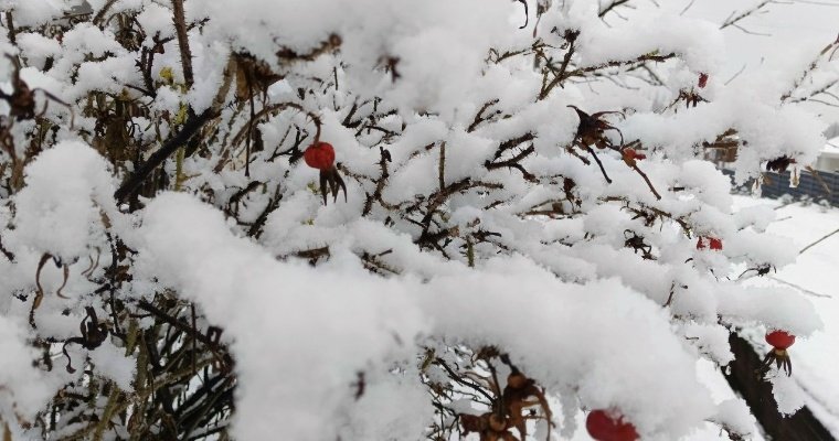 Выпавший в Глазове снег может уже не растаять до весны 