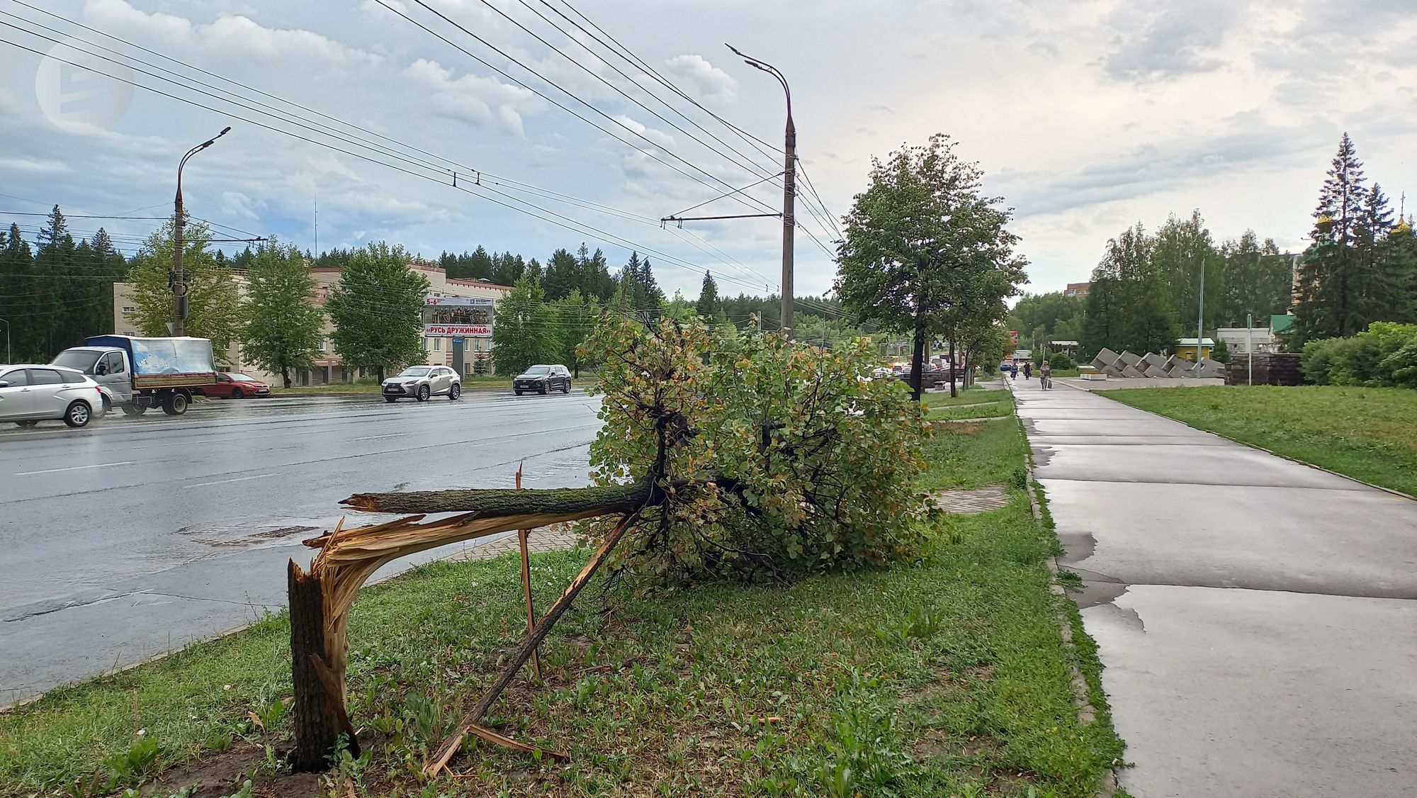 Поваленные деревья и переполненные ливнёвки: последствия урагана в Ижевске  // ИА Сусанин - проверенные новости Ижевска и Удмуртии, факты и описания  событий.