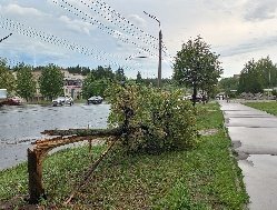 Поваленные деревья и переполненные ливнёвки: последствия урагана в Ижевске