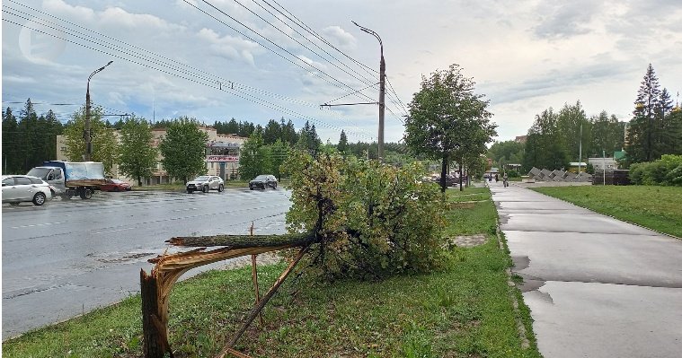 Поваленные деревья и переполненные ливнёвки: последствия урагана в Ижевске
