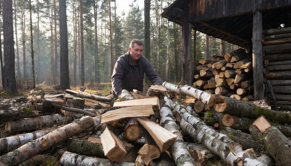 Дрова для семей участников СВО в Удмуртии разрешили заготавливать по всей республике