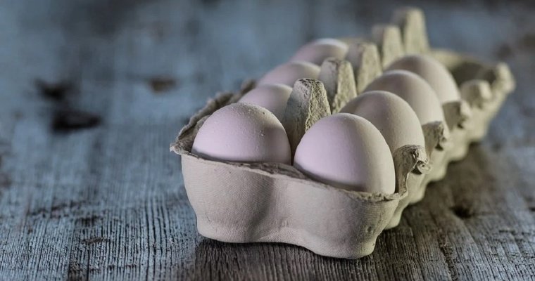 Министра сельского хозяйства Польши закидали яйцами фермеры