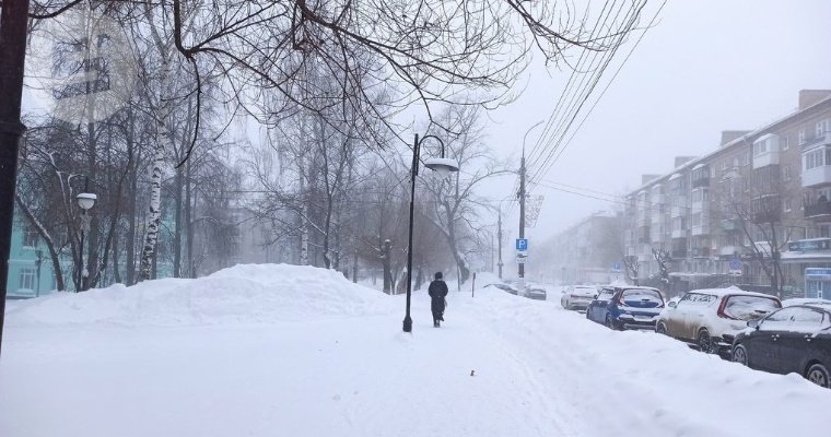 8 февраля по Удмуртии ожидается продолжительный снег