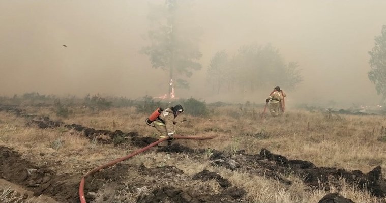В Челябинской области локализовали пожар на площади 14 тысяч га