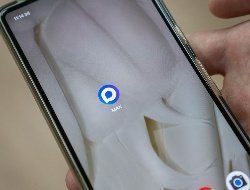 После 15 сентября в школах Удмуртии начнут внедрять мессенджер МАХ
