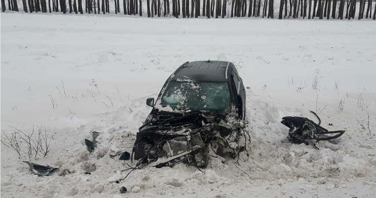 Житель Удмуртии погиб в аварии в Башкирии