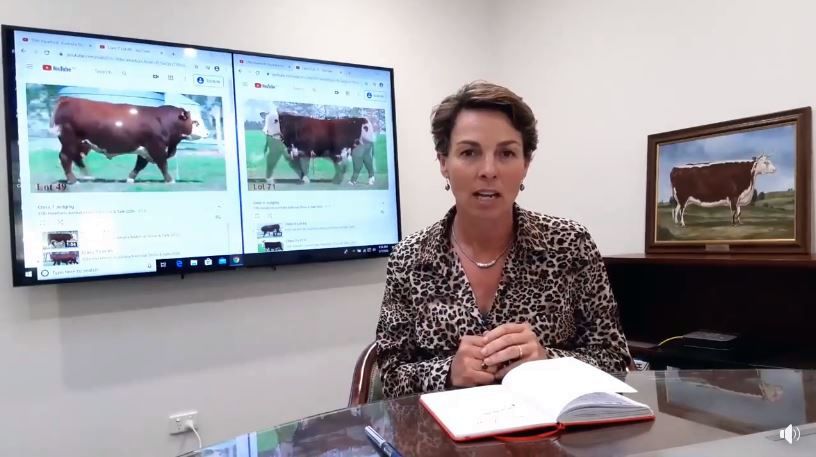Смотр-конкурс крупного рогатого скота в Удмуртии пройдет в онлайн-режиме
