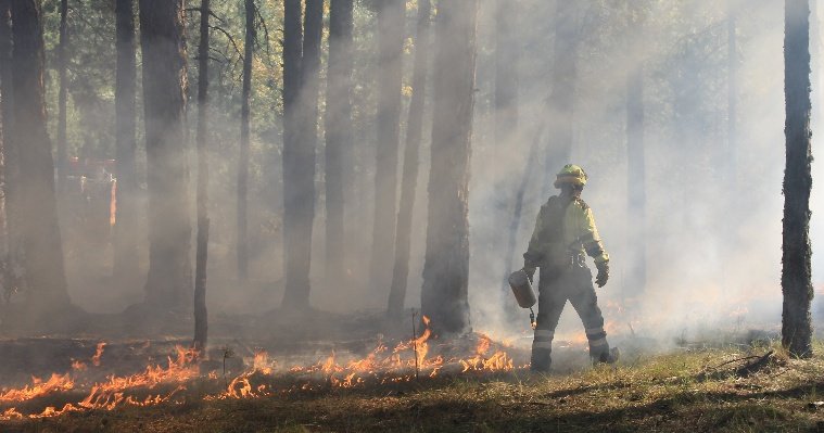 Житель Воткинска оказался на 11 месте в конкурсе лучших лесных пожарных России и Беларуси 