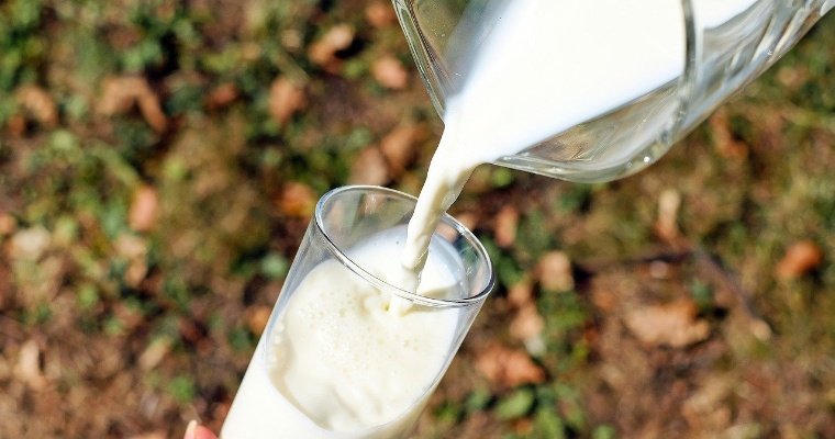Три молочных хозяйства из Удмуртии попали в топ-100 крупнейших российских производителей