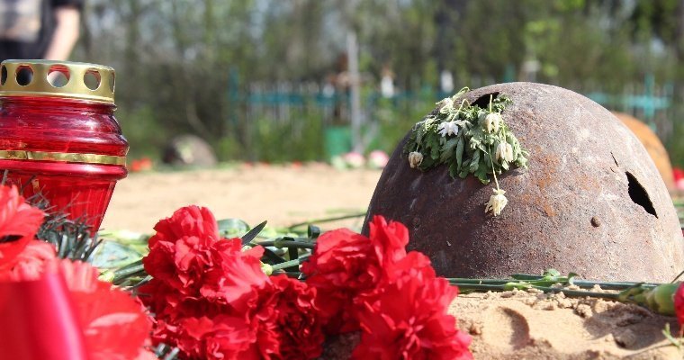 В Ленинградской области нашли останки бойца, призванного на фронт из Сарапула