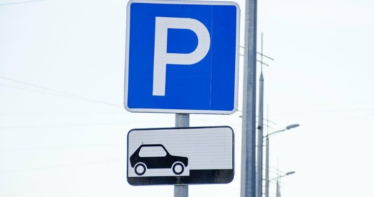 В Ижевске в тестовом режиме заработает парковка с паркоматами и видеокамерами