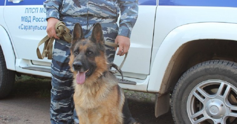 В Сарапуле служебная собака помогла найти страдающего потерей памяти пенсионера