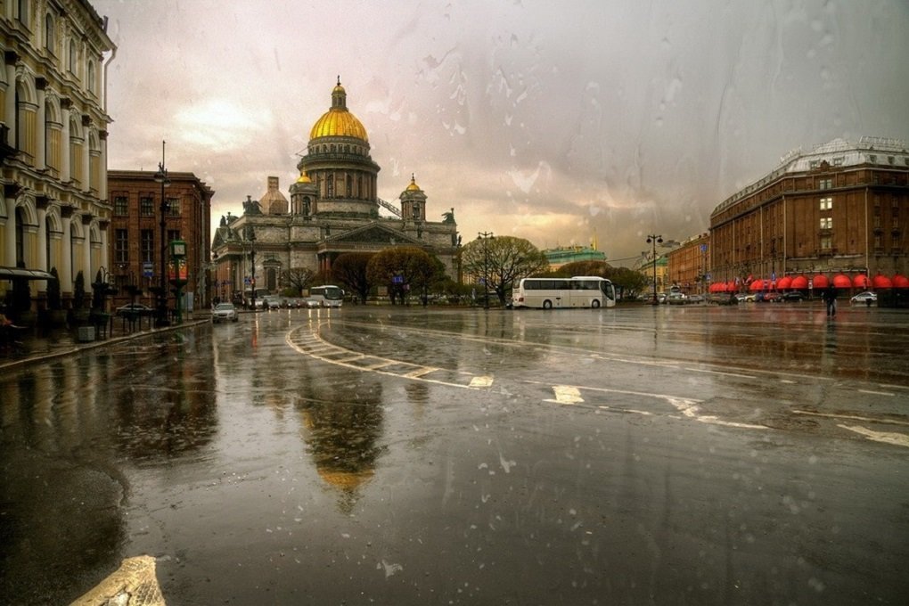 

В Санкт-Петербурге из-за грозы пострадали 4 жителя


