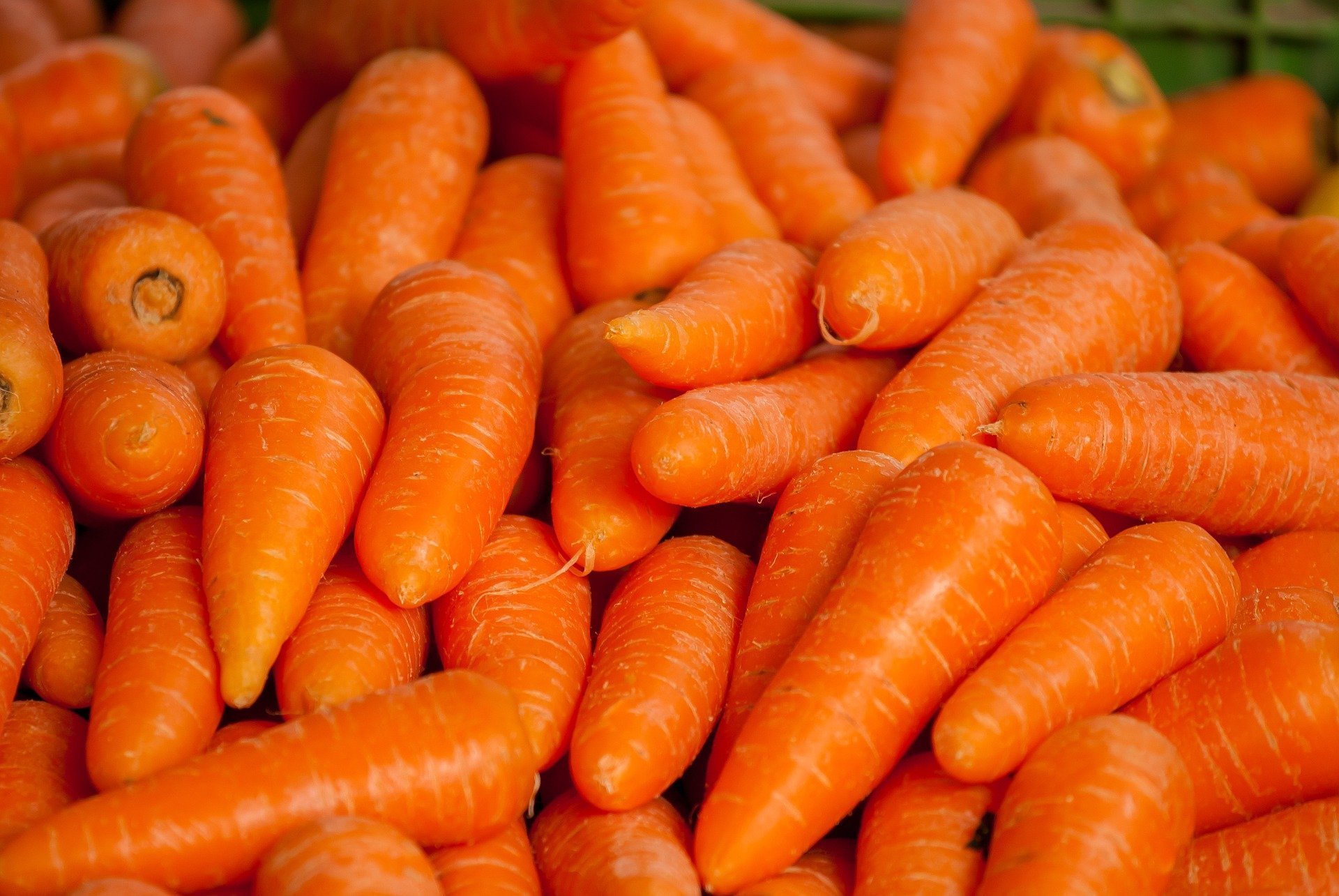 

Морковь и консервы подорожали в Удмуртии

