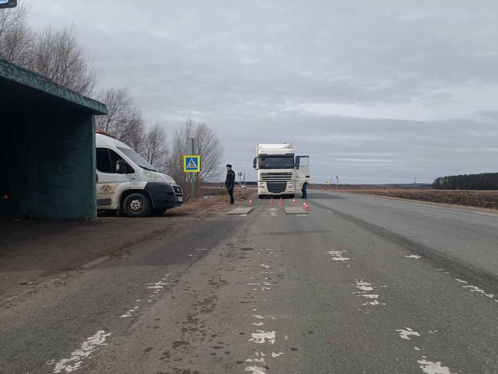 В Удмуртии на дороге Вавож  Можга появился весовой контроль большегрузов