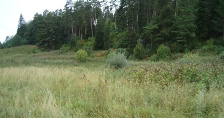 Россельхознадзор в Удмуртии выявил зарастание плодородных почв сорняками на 27 гектарах