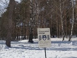 Картина дня: первый случай присасывания клеща в Удмуртии и временный руководитель «ИжГЭТа»