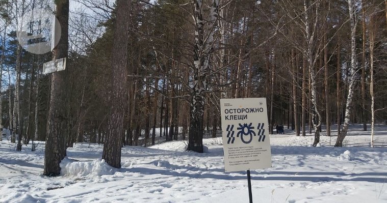 Картина дня: первый случай присасывания клеща в Удмуртии и временный руководитель «ИжГЭТа»