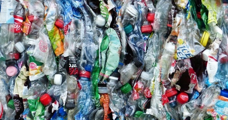 Цветные ПЭТ-бутылки планируют запретить с 2024 года в России 