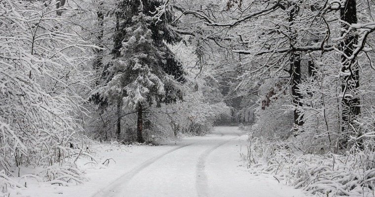 31 января в Удмуртии ожидается до -6 градусов