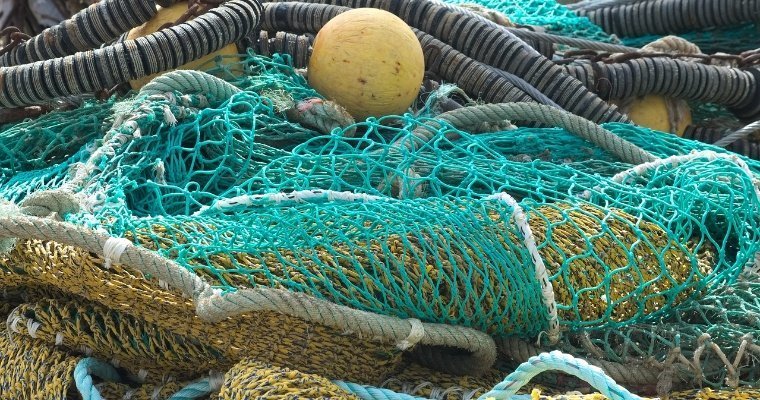 Двух жителей Удмуртии предали суду за вылов рыбы в период нереста
