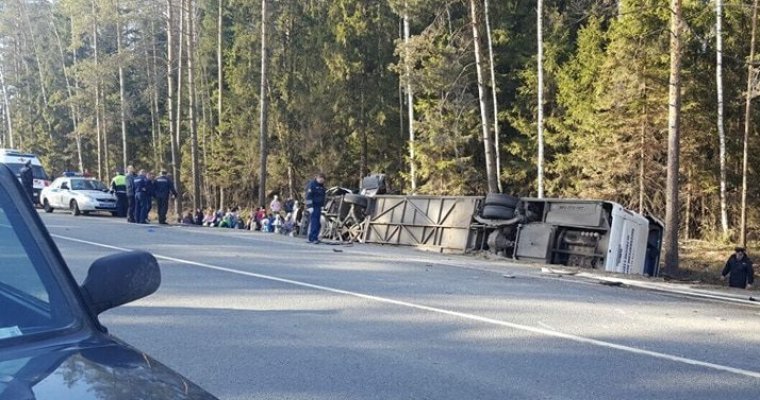 15 детей пострадали в аварии с автобусом и «восьмеркой» в Подмосковье
