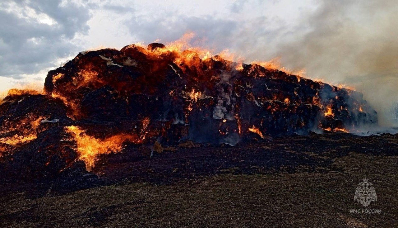 Шестьсот рулонов соломы сгорели в Завьяловском районе из-за желания детей пожарить хлеб 