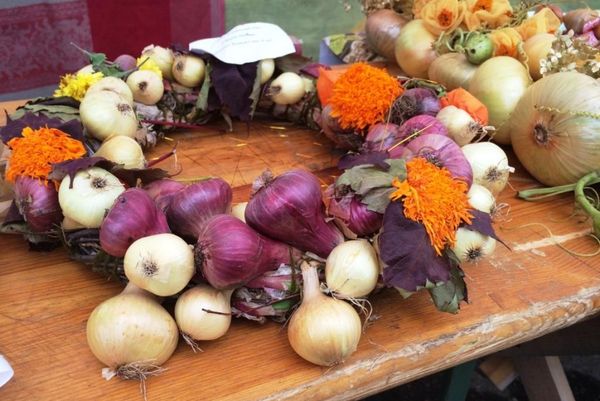 Знаки Удмуртии: торговля луком и рождение лекарей