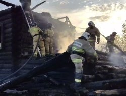 Пять домов сгорели в деревне Якшур-Бодьинского района из-за жары