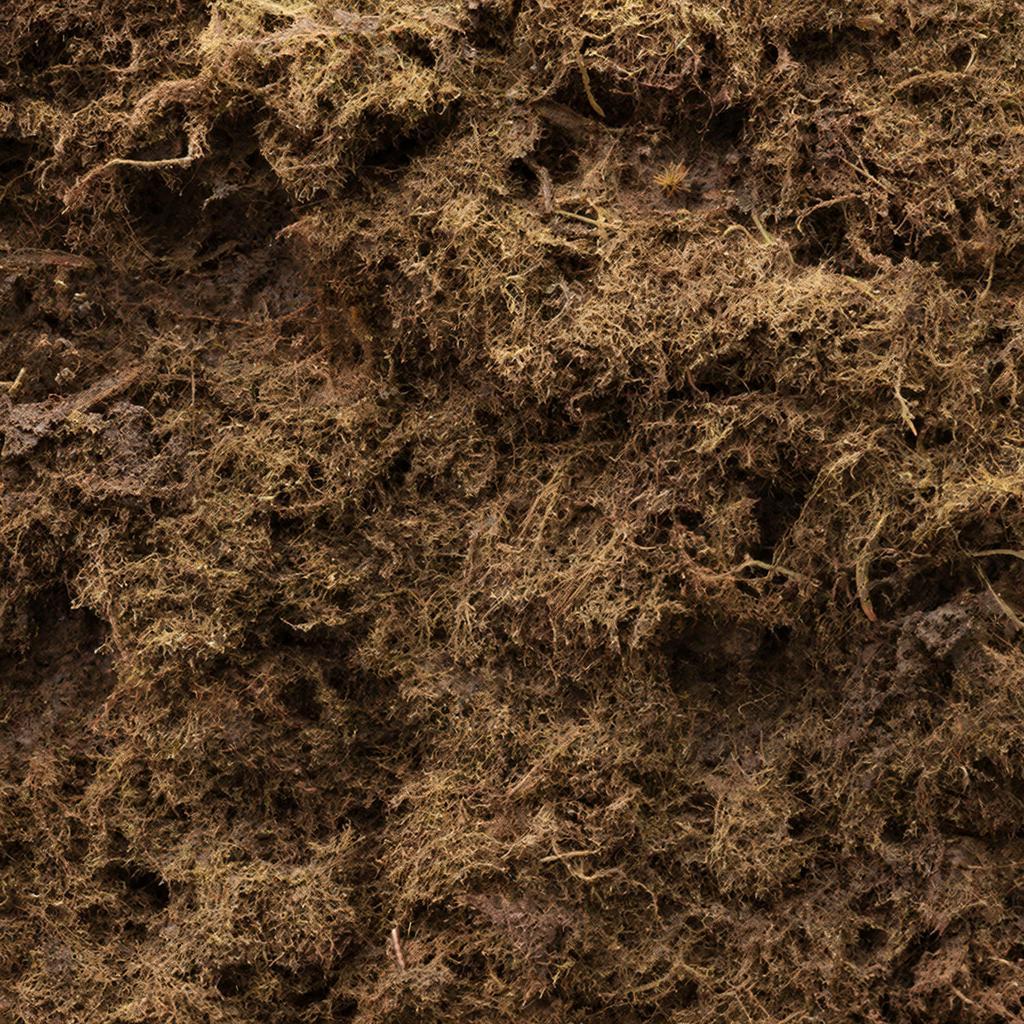 Импорт белорусского торфогрунта в Удмуртию вырос втрое