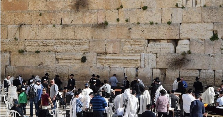 Из-за столкновений на Храмовой горе в Иерусалиме пострадали более 150 человек 