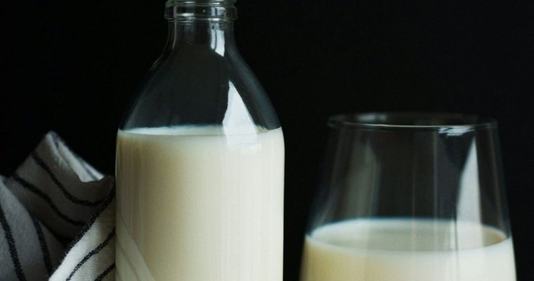 Почти в четыре раза увеличился экспорт молочной продукции из Удмуртии в первом полугодии