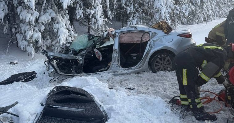 В ДТП в Завьяловском районе женщину деблокировали из искорёженной машины 