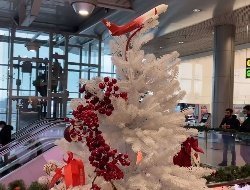Новогоднюю елку в цветах флага Удмуртии установили в аэропорту Домодедово