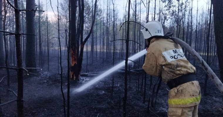 Одно из муниципальных образований Удмуртии оштрафовали за крупный природный пожар