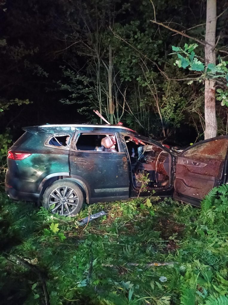 В Удмуртии два человека погибли в аварии из-за выбежавшего на дорогу лося