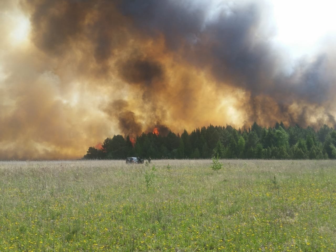 

В МЧС Удмуртии успокоили жителей населенных пунктов вблизи горящего леса у деревни Поваренки

