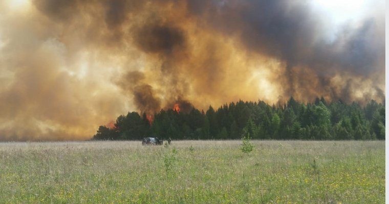 В МЧС Удмуртии успокоили жителей населенных пунктов вблизи горящего леса у деревни Поваренки