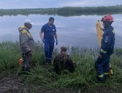 Спасатели эвакуировали с берега Камы в Удмуртии мужчину с инсультом
