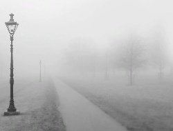Туман в Удмуртии сохранится до вечера 27 февраля