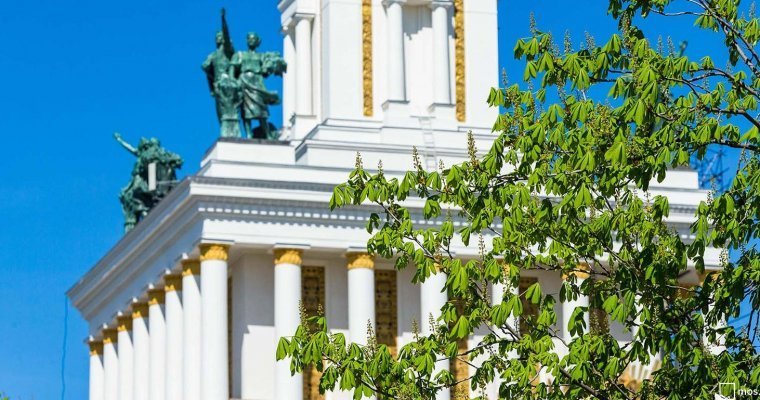 В Москве вход на центральную аллею ВДНХ частично закрыли до начала июня