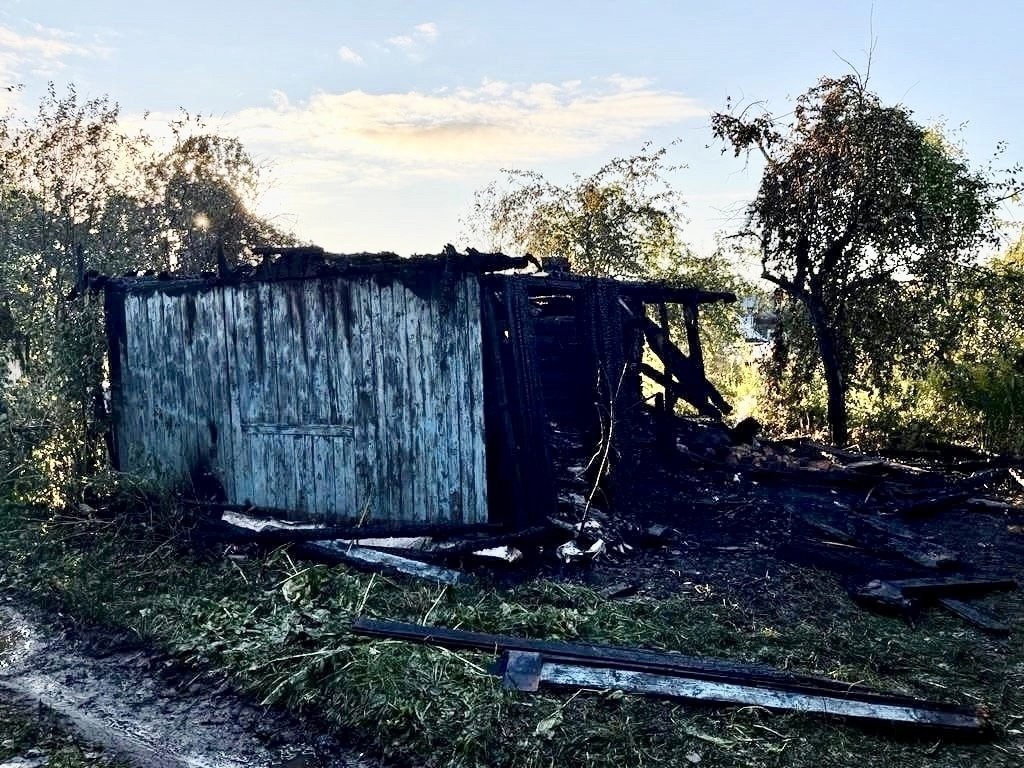 Мужчина погиб при пожаре на СНТ Дружба в Ижевске