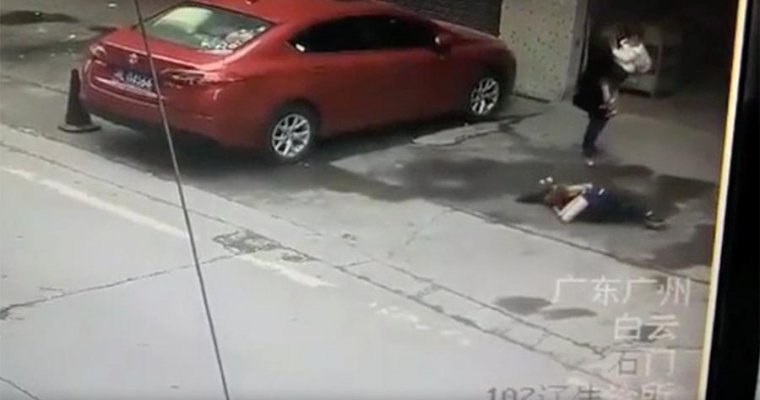 В Китае собака, упав с высоты, едва не снесла голову женщине